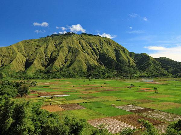 indoinwest rinjani about